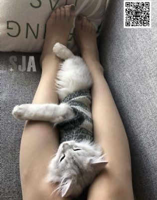 宁安如梦电视剧在线免费观看