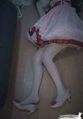 夜行动物
