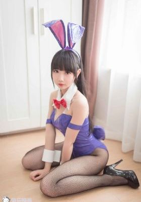 兔子视频