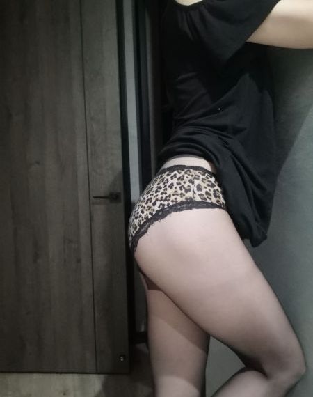 动物交配