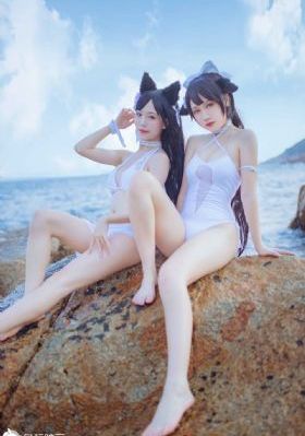 打黑风暴在线播放免费完整版