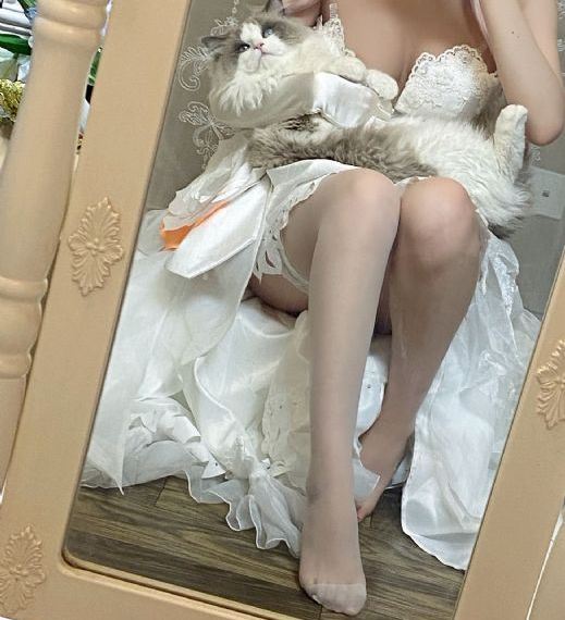 动漫理论片