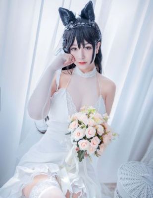 假面骑士极狐全集免费观看