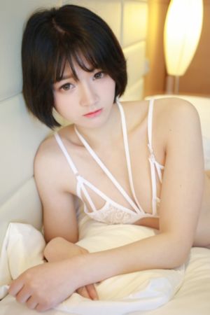 武林外传在线观看免费全集