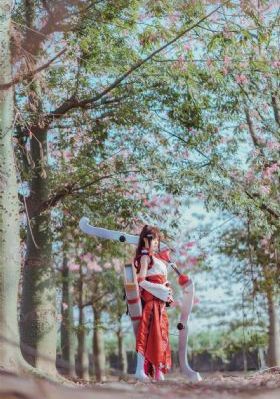 极品女士第一季 电视剧免费