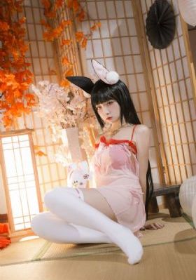 免费看电视