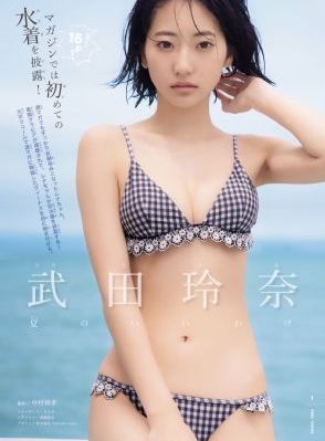 2024最新免费观看电视剧